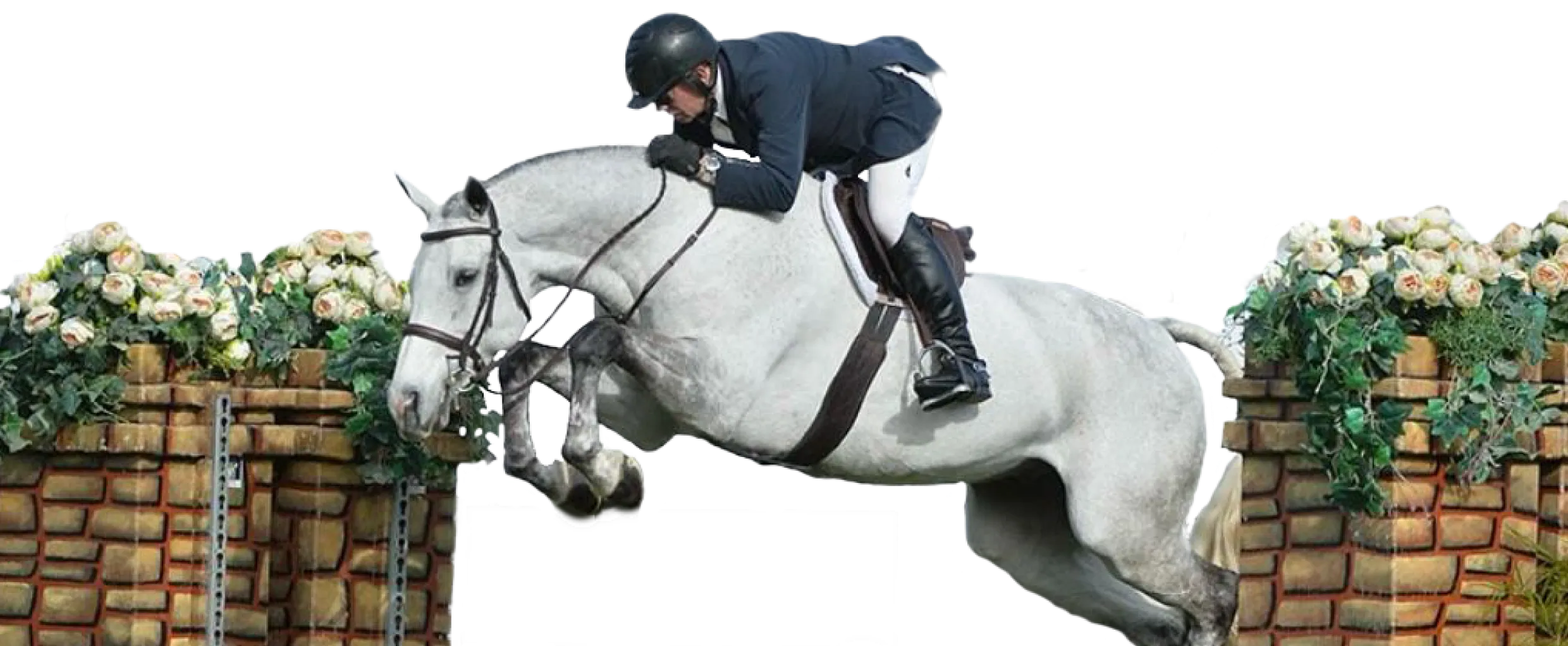 Horse Jumping
